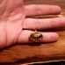 Dámský zlatý prsten s tygřím okem AUBAZAR0562